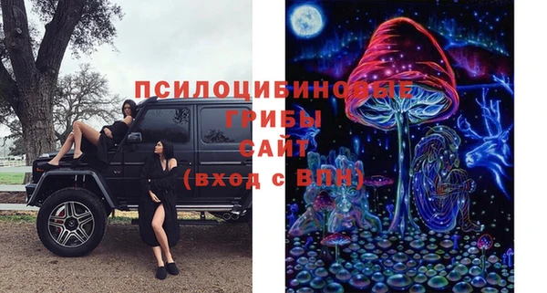 ГАЛЛЮЦИНОГЕННЫЕ ГРИБЫ Алексеевка