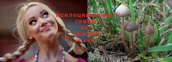 таблы Алексин