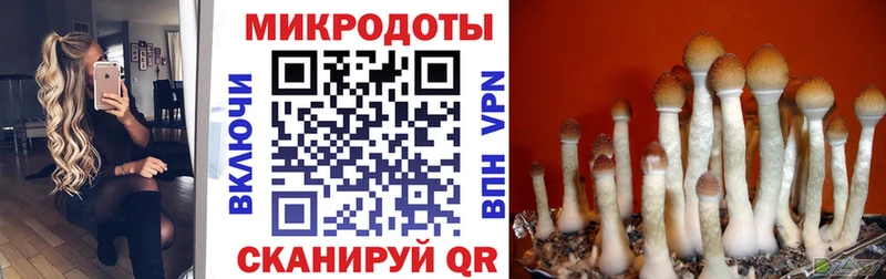 Галлюциногенные грибы мухоморы  купить   Аткарск 